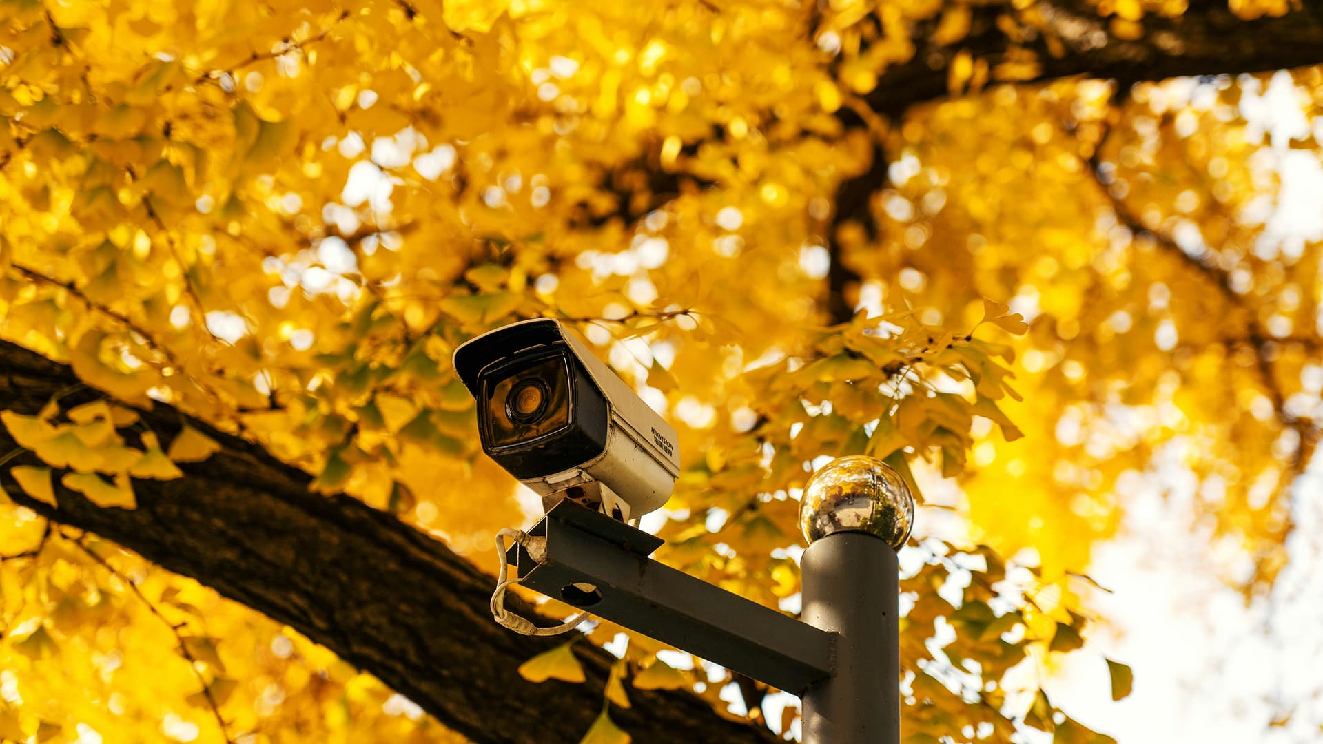 Large-scale CCTV deployment for corporate campuses Large-scale CCTV deployment for corporate campuses